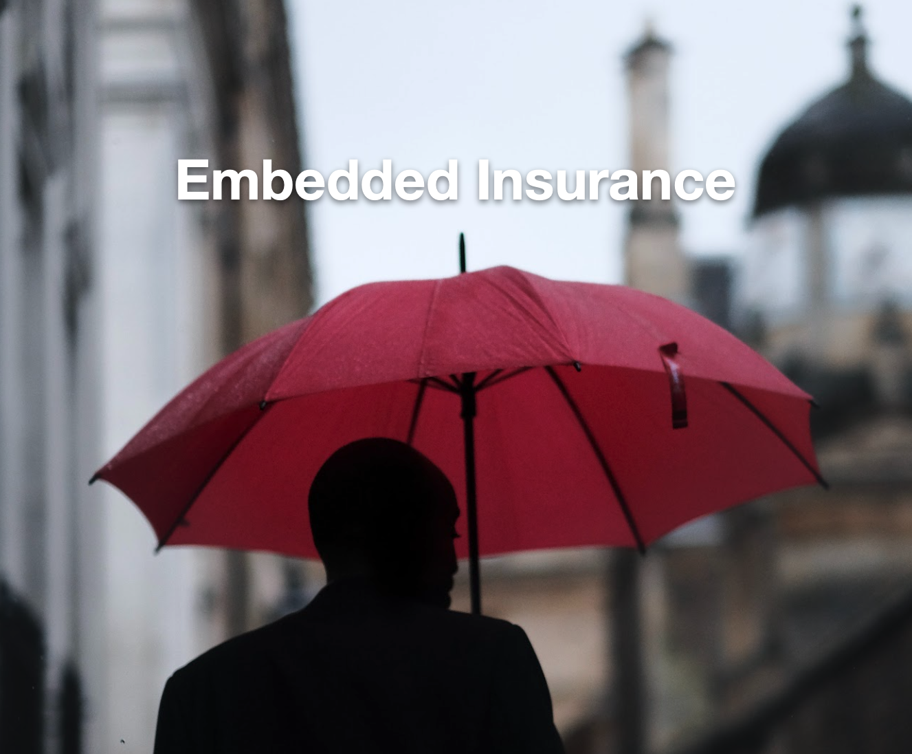 Embedded insurance photo